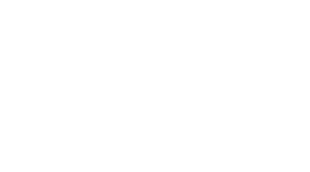 לקוח 1
